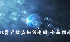 tpwallet资产被盗如何追回：全面指南与步骤
